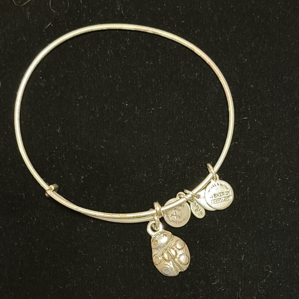 Alex and Ani Silver ladybug ๐ Charm Bracelet - Picture 1 of 3